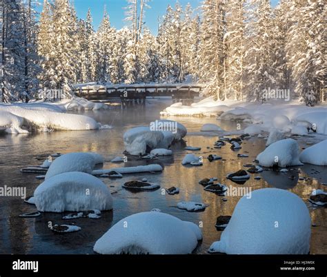 Snow covered forest in winter with a wood bridge Stock Photo - Alamy