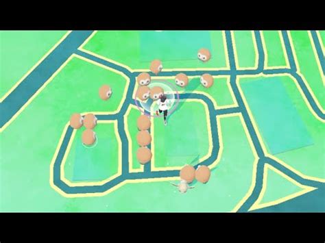 Rowlet Community Day Part 1 Pokemongo Rowlet YouTube