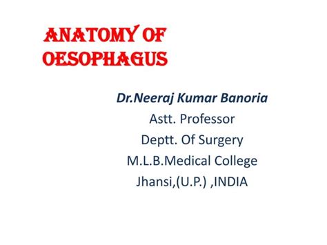 Anatomy Of Esophagus Dr Neeraj Kumar Banoria Ppt