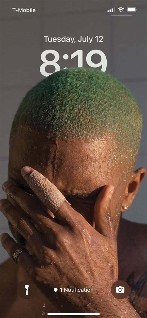 Download Frank Ocean Set The Music World Ablaze With His Critically