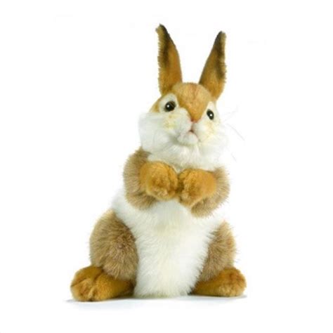 Buy Bunny Plush 30cm Online | Sanity