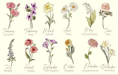 What Is Your Birth Flower And What Does It Mean Illustrated Tea Cup