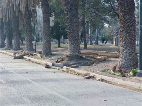 Fotos los destrozos del viento Zonda en el Parque General San Martín