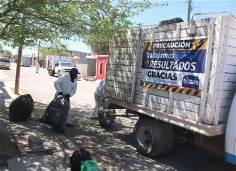 Trabaja Municipio Para Combatir La Mortalidad De La Rickettsia En