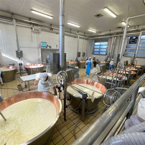 Caratteristiche Del Parmigiano Reggiano Vacche Rosse