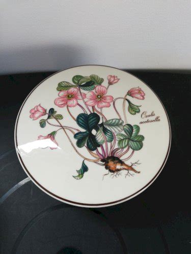 Boîte en porcelaine Villeroy Boch Blanc Rose Vert Floral Végétal