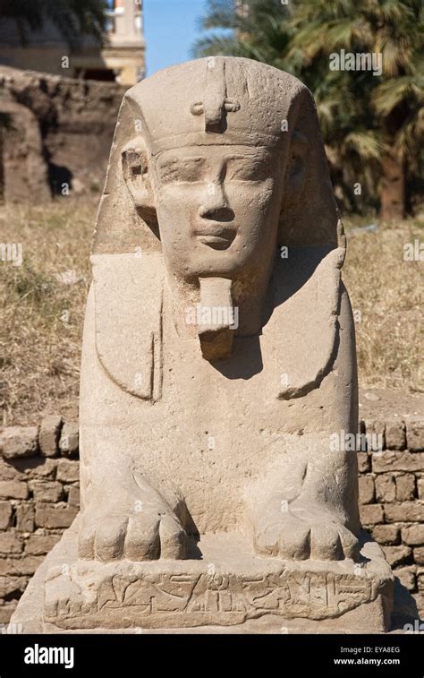 Luxor Egypt Temple Of Luxor Ipet Resyt A Sphinx From The So Called