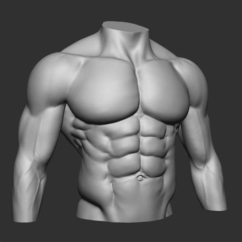 Fitness Bodybuilder 3d Model 3d Printable Cgtrader