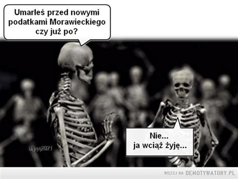 Nowy Ad Czy Nowy Vat Memy O Podatkach Mateusza Morawieckiego B D