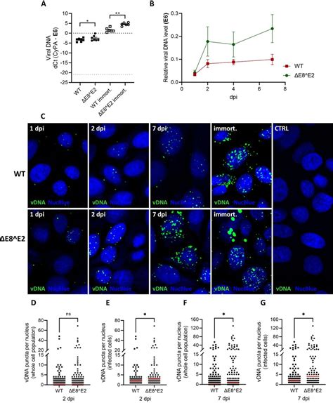 Human Keratinocytes Atcc Bioz