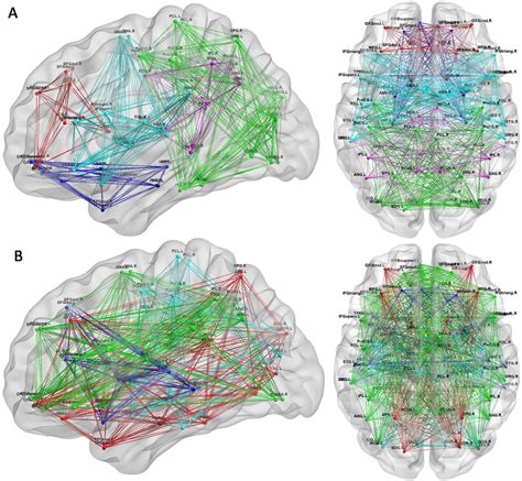 Modules Of The Functional Brain Networks In Each Group A Modules Of