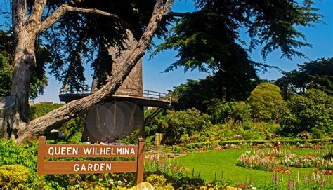 Queen Wilhelmina Garden - San Francisco, United States