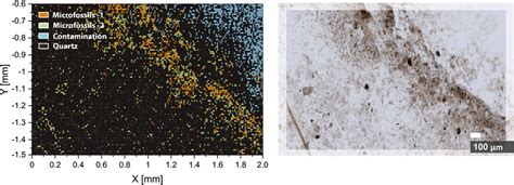 Frontiers On Topological Analysis Of Fs Lims Data Implications For