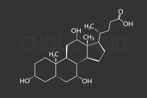 Cholic Acid Molecular Skeletal Chemical Formula 37960275 Vector Art At