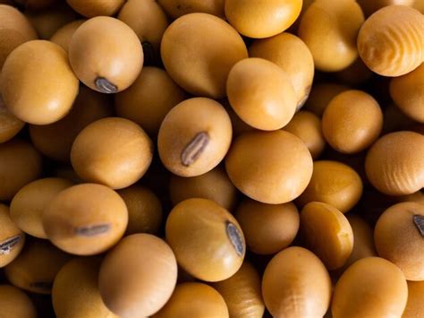 Premium Photo Close Up Shoot Of Soybeans On A Wooden Cup Shoot On A