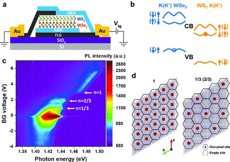 Interlayer Exciton Pl Revealing Correlated States In Angle Aligned Wse Download Scientific