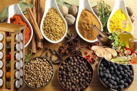 اسماء البهارات والتوابل الاعشاب للمطبخ بالصور Alimentos Pimientos