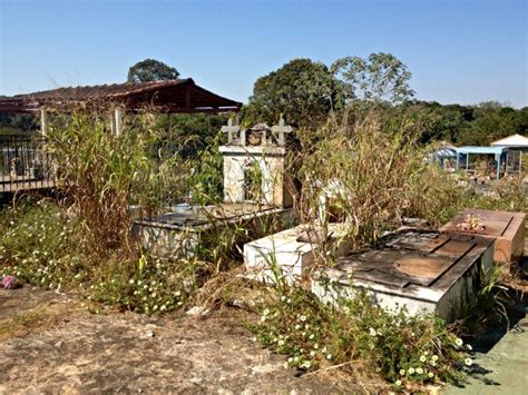 G T Mulos Continuam Cobertos Por Mato Em Cemit Rio De Porto Velho