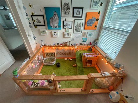 Rabbit Enclosures Designs