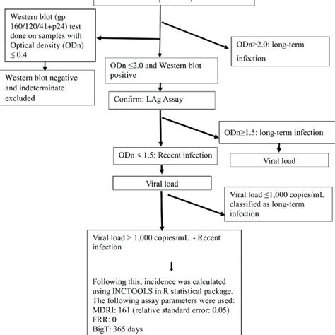 Recent Infection Testing Algorithm Rita In The Antenatal Hiv