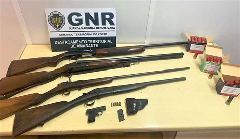 GNR Apreende Armas De Fogo Por Maus Tratos A Animais De Companhia Em