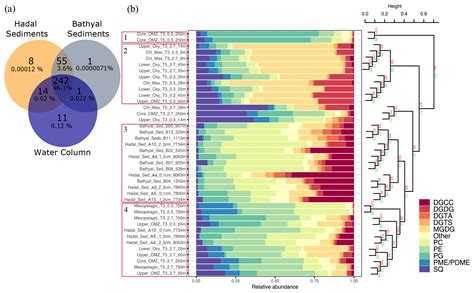 Bg Bacterial And Eukaryotic Intact Polar Lipids Point To In Situ