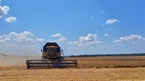 Five EU Countries Sign Position To Extend Ukrainian Grain Ban