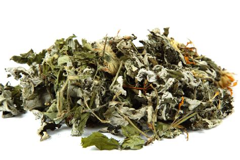 Arnica Flower Whole — Sunrise Botanics