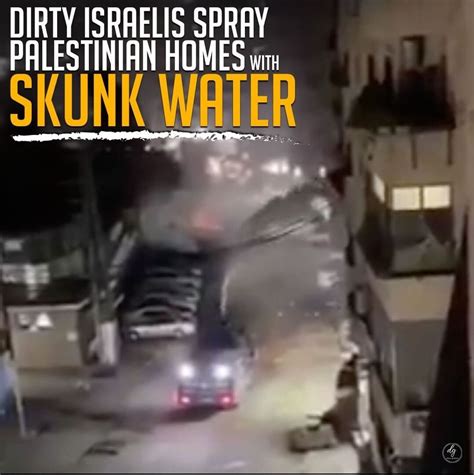 DIRTY ISRAELIS SPRAY PALESTINIAN HOMES WITH SKUNK WATER - Daizy Gedeon