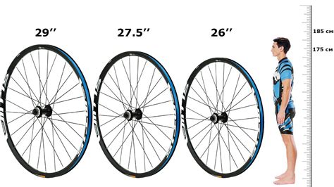 Диаметр колес велосипеда сколько дюймов выбрать 26 27 5 или 29