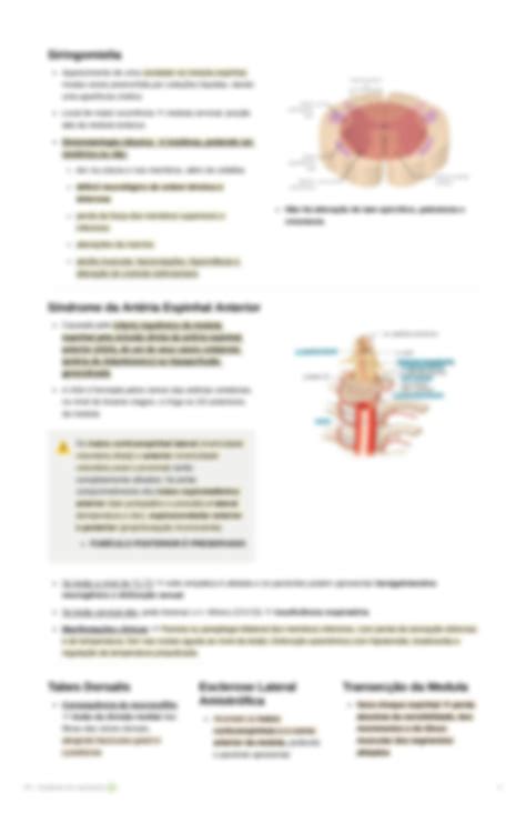 Solution P S Ndromes Medulares E Trauma Raquimedular Studypool