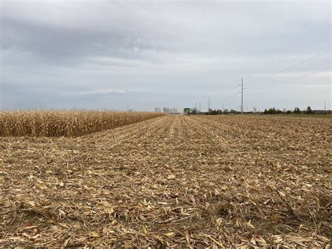 Field Observations Ontario Grain Farmer