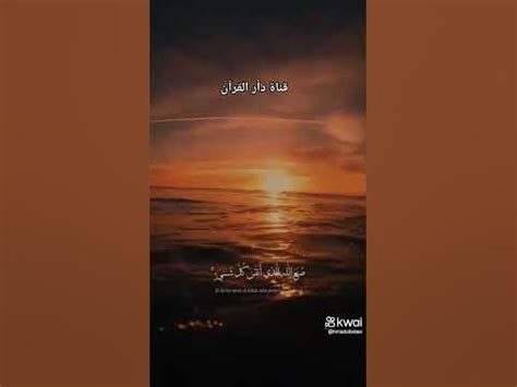 sorh mzml youtube