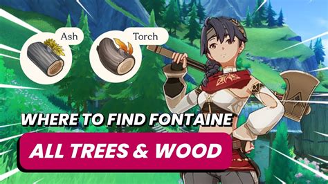 HOW TO FIND ALL TREE WOODS Genshin Impact Fontaine 4 0 YouTube