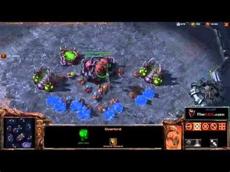 Starcraft Zerg Build Order Youtube