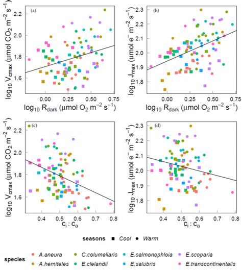 Linear Regressions Of Individual Trees By Season N16 And Species