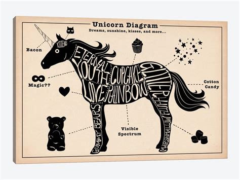 Unicorn Anatomy Diagram #2 Canvas Art Print by 5by5collective | iCanvas