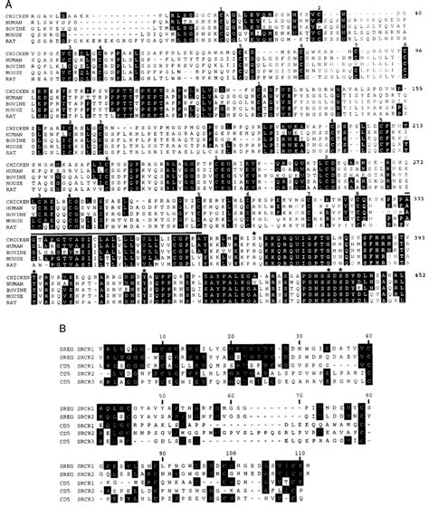 A Amino Acid Alignment Of Cd Sequences The Mature Chicken Cd