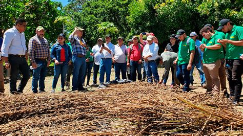 M Xico Beneficia Mil Productores Hondure Os Con Sembrando Vida