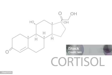 Cortisol Molecular Skeletal Chemical Formula Stock Illustration