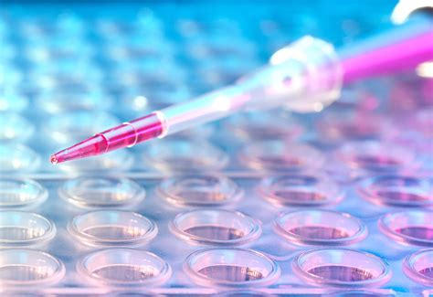 Researchers Zero In On Genetic Variant Tied to Miscarriages | Rutgers