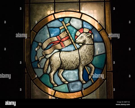 Stained Glass Depicting The Agnus Dei The Lamb Of God In Duomo Cathedral Florence Italy