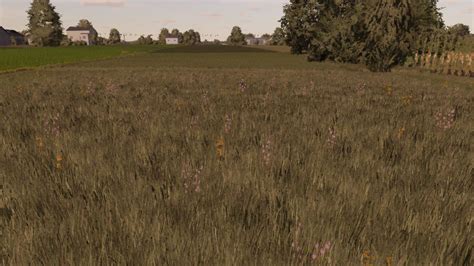 Meadow Texture Fs22 Kingmods
