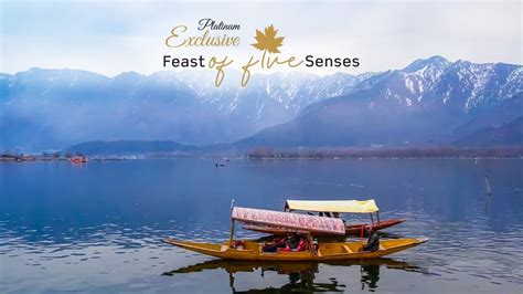 Club Vistara Platinum Exclusive Feast Of Five Senses YouTube