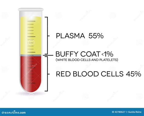 Test tube with blood cells stock vector. Illustration of buffy - 42780627