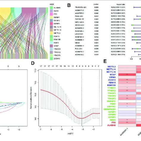 A Co Expression Of M A Regulatory Genes And Related Lncrna B Cox