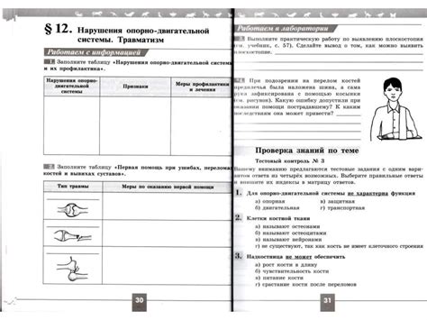Рабочая тетрадь. Биология 8 класс - презентация онлайн