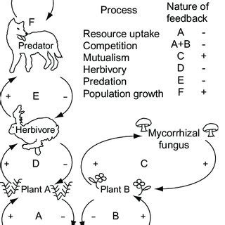 Pdf Principles Of Terrestrial Ecosystem Eology