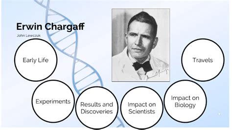 Erwin Chargaff Experiment