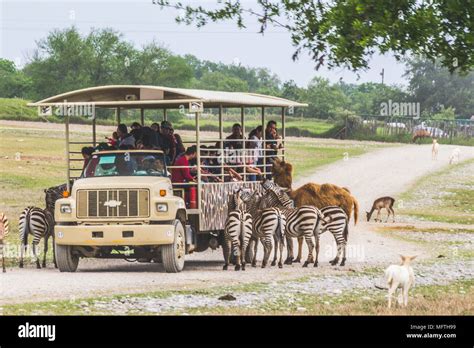 Bioparque estrella hi-res stock photography and images - Alamy